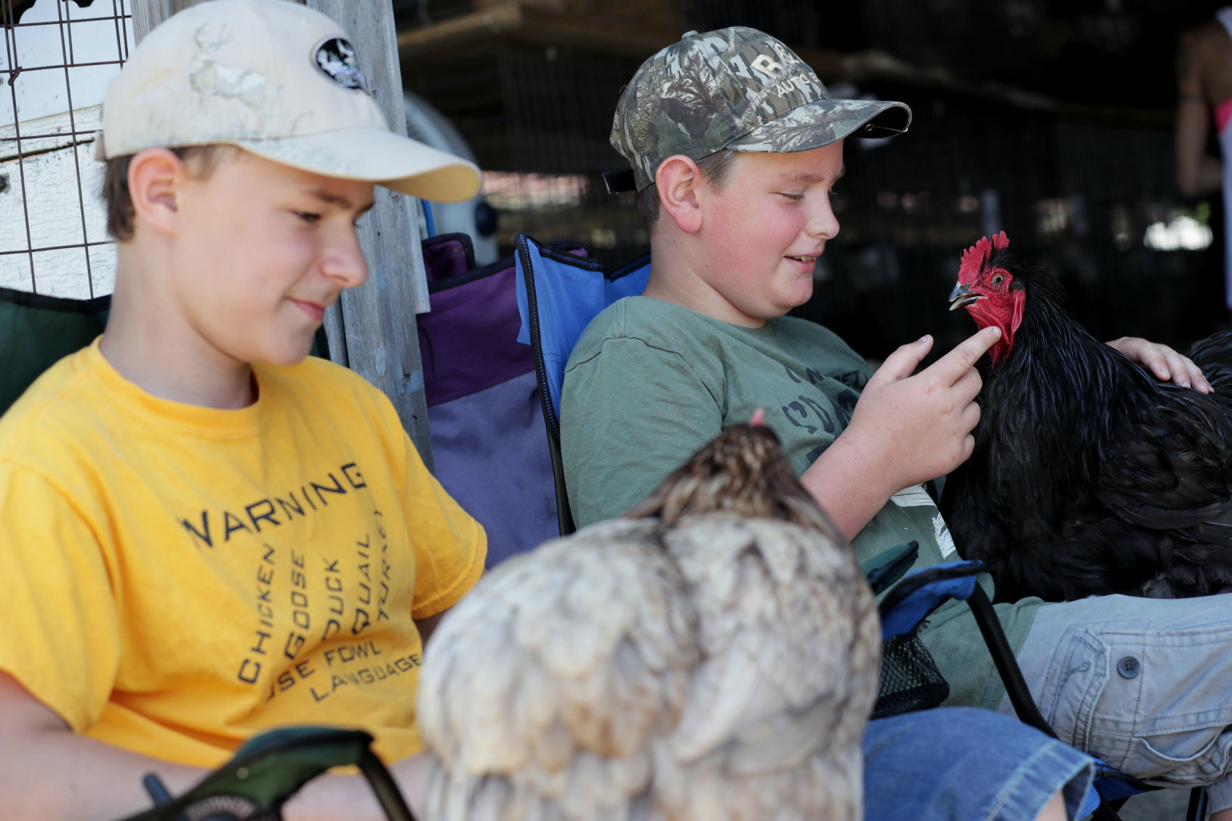 Sauk County Fair